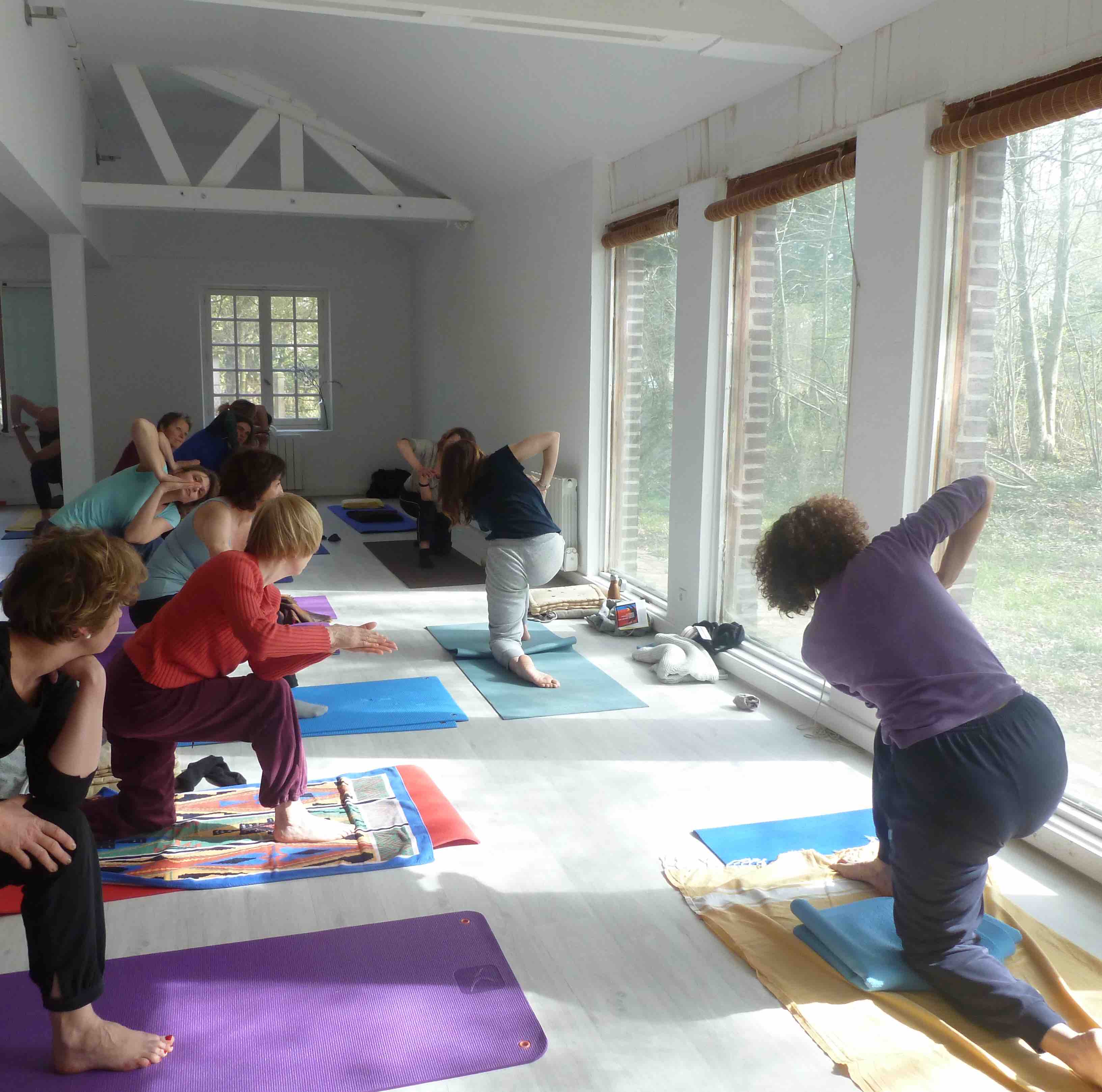 Image d'un cours de yoga