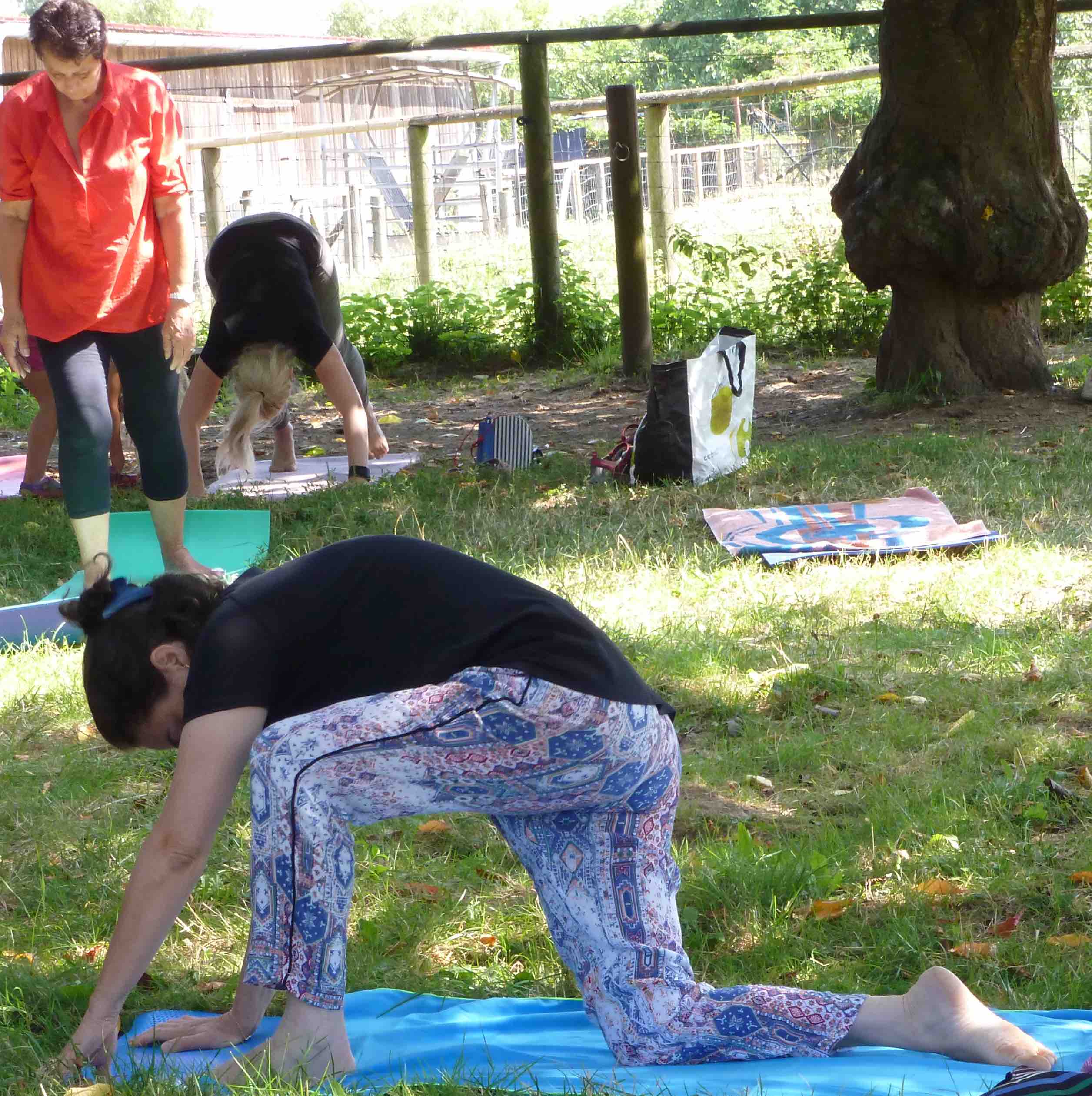 Image d'une femme dans une position de yoga