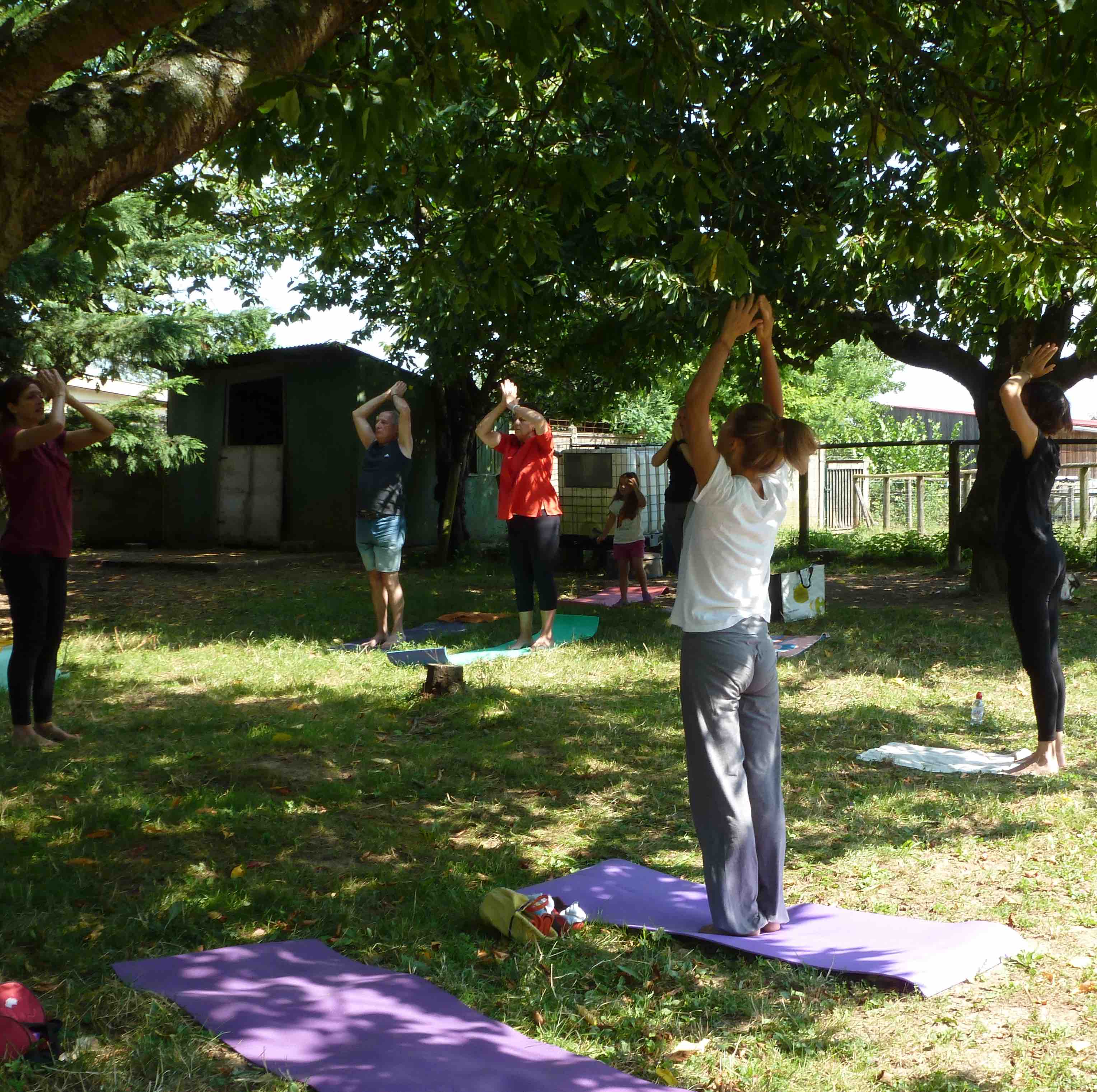 Image d'un cours de yoga