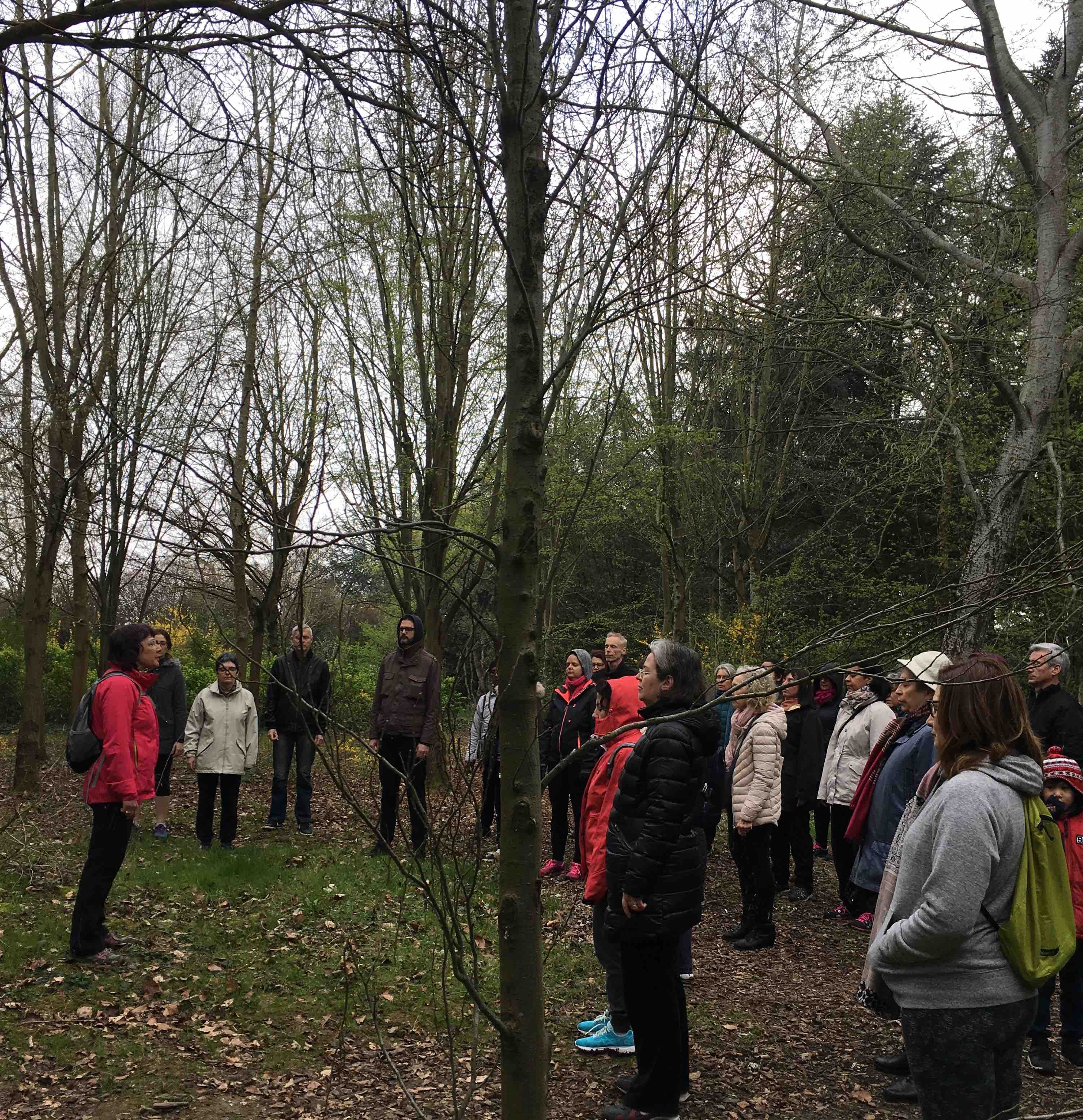 cours de mediation dans la foret