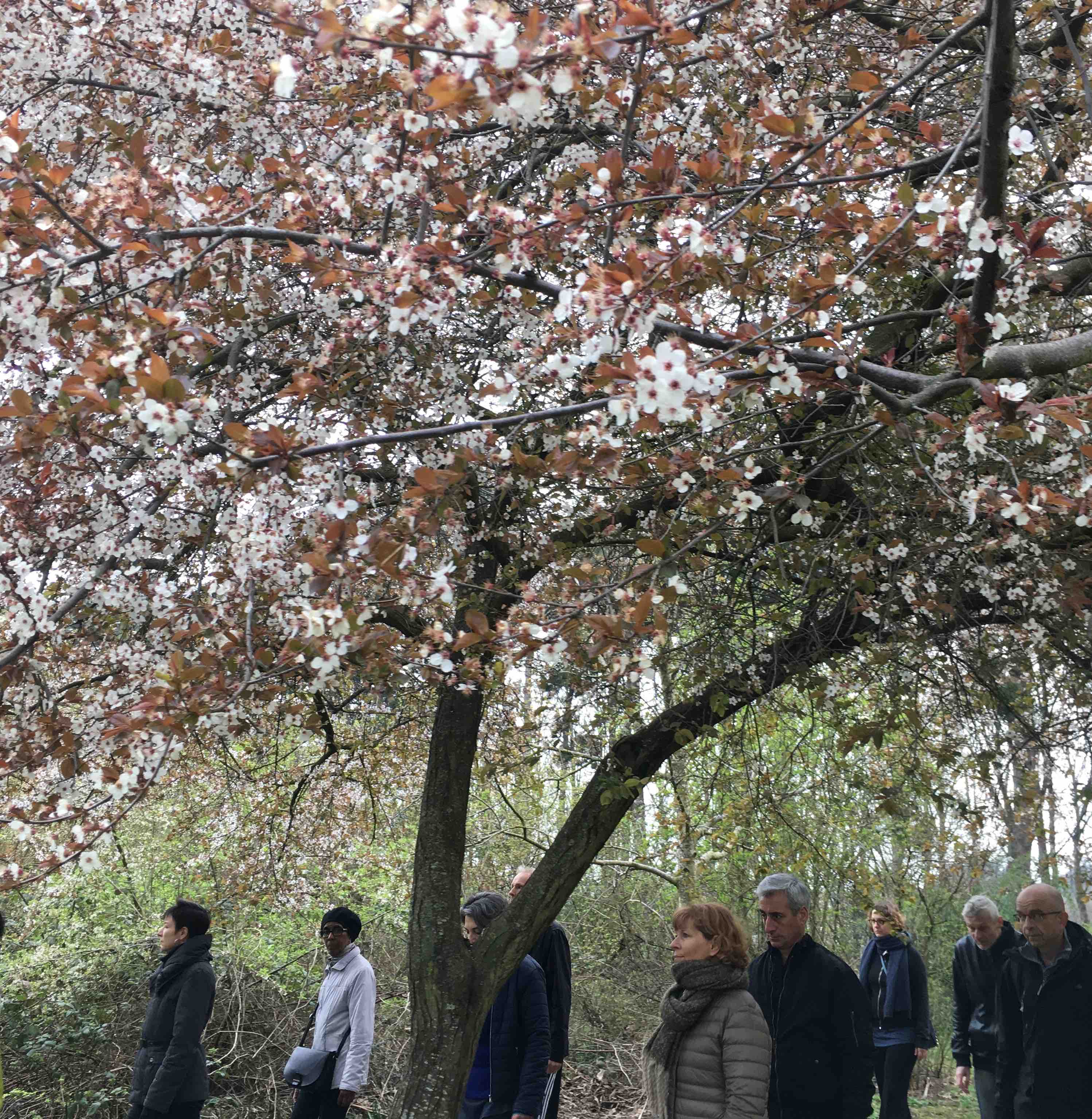 cours de meditation en pleine nature