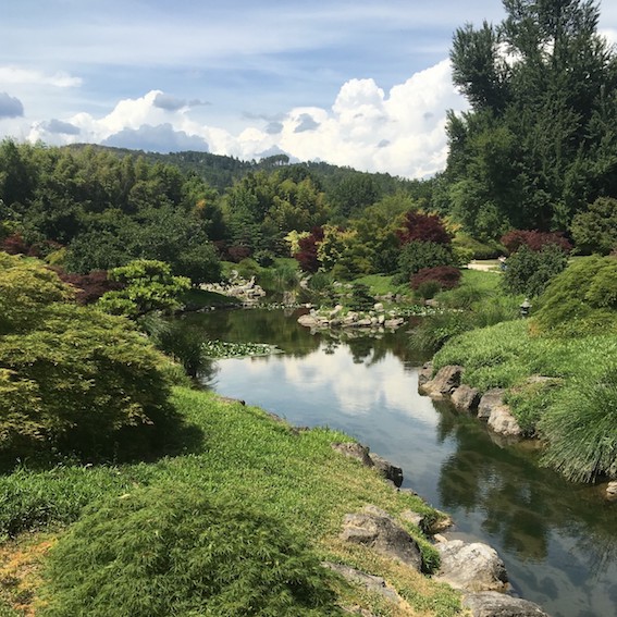 Image des cevennes